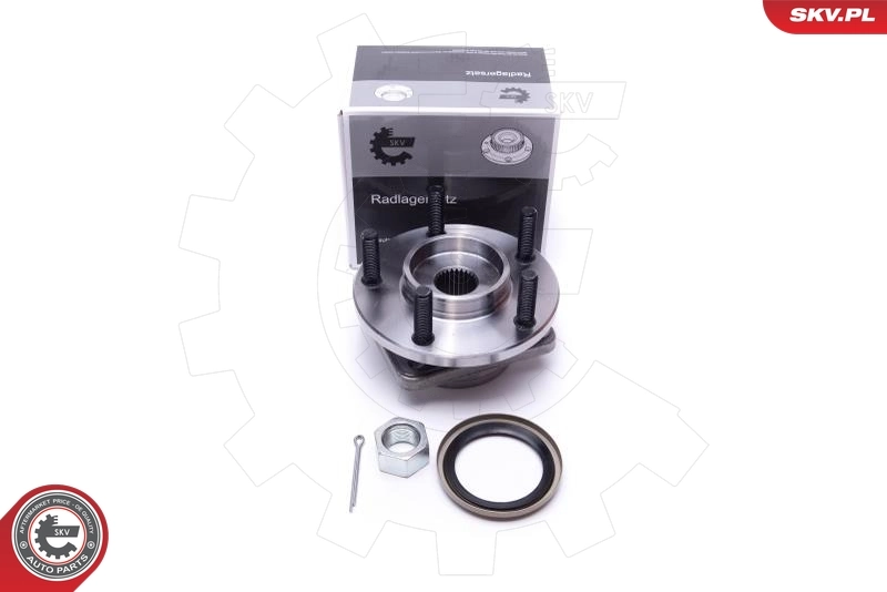 Wheel Bearing Kit